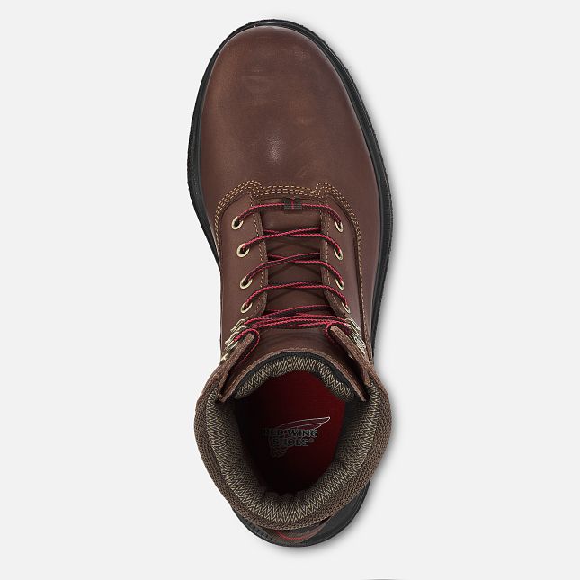 Red Wing Brnr Xp 8-inch CSA Vandtætte Sko Herre Brune | 9271-GOSHD