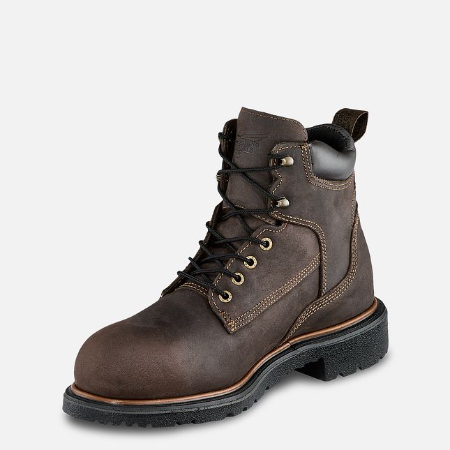 Red Wing Dynaforce® 6-inch Insulated, Vandtætte Arbejdsstøvler Herre Brune | 0514-IPQFL