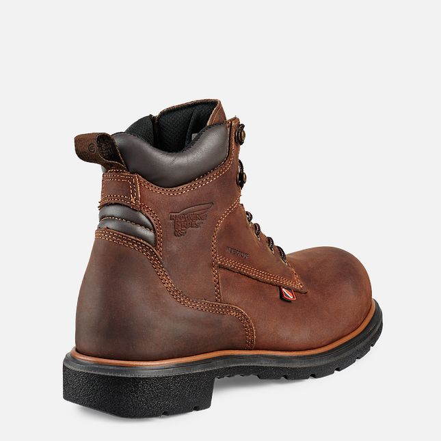 Red Wing Dynaforce® 6-inch Vandtætte Arbejdsstøvler Herre Brune | 3847-OHQWT