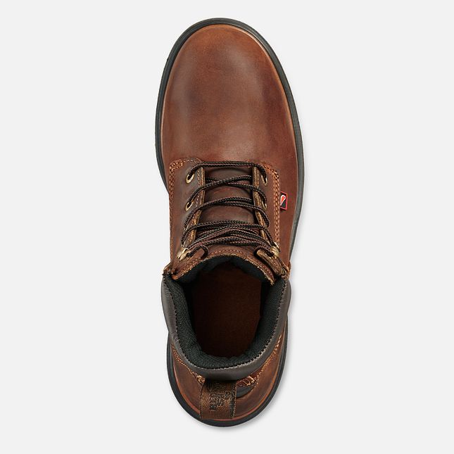 Red Wing Dynaforce® 6-inch Vandtætte Arbejdsstøvler Herre Brune | 3847-OHQWT