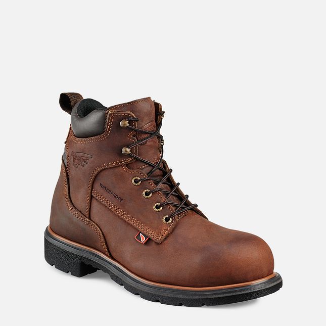 Red Wing Dynaforce® 6-inch Vandtætte Arbejdsstøvler Herre Brune | 3847-OHQWT