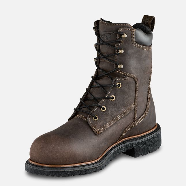 Red Wing Dynaforce® 8-inch Insulated, Vandtætte Sikkerhedssko Herre Brune | 6412-RUIMS