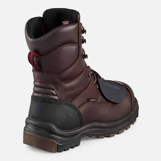 Red Wing King Tå® 8-inch CSA Metguard Vandtætte Sko Herre Brune | 5143-GAQPJ