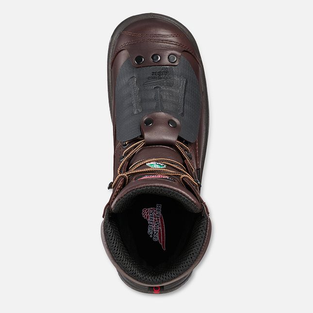 Red Wing King Tå® 8-inch CSA Metguard Vandtætte Sko Herre Brune | 5143-GAQPJ