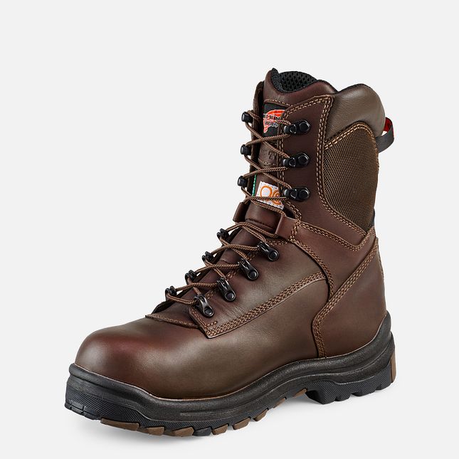 Red Wing King Tå® 8-inch Insulated CSA Vandtætte Sko Herre Brune | 6172-SQTIU