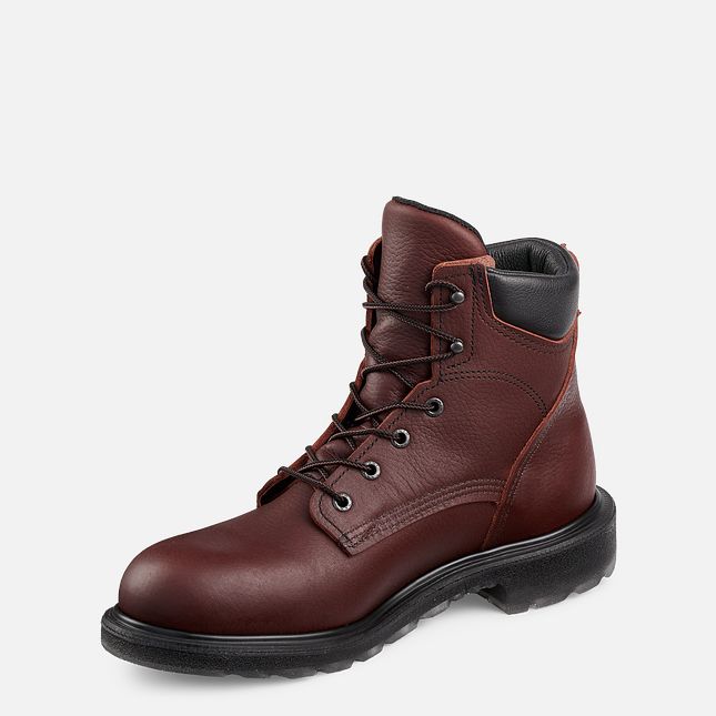 Red Wing Supersole® 2.0 6-inch Arbejdsstøvler Herre Brune | 1582-NVMXI