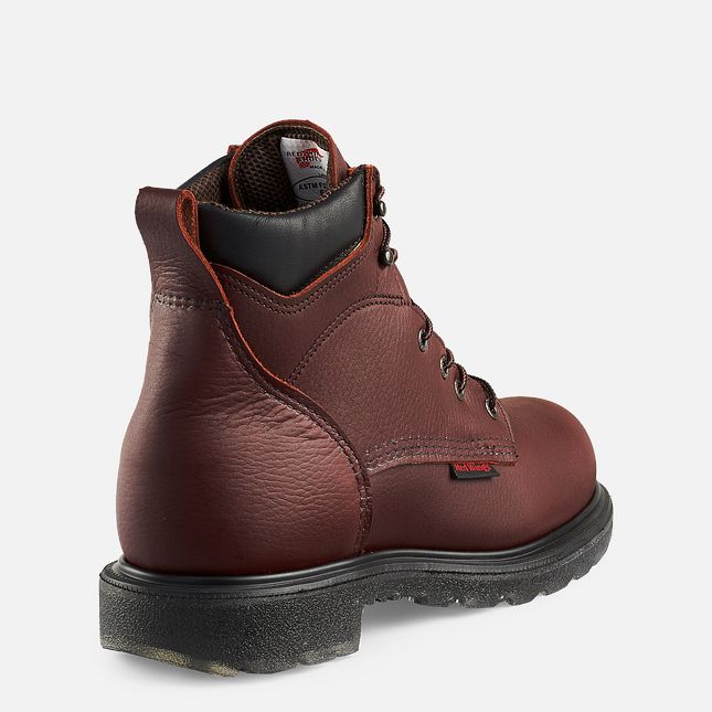 Red Wing Supersole® 2.0 6-inch Vandtætte Arbejdsstøvler Herre Brune | 1246-VUPMH