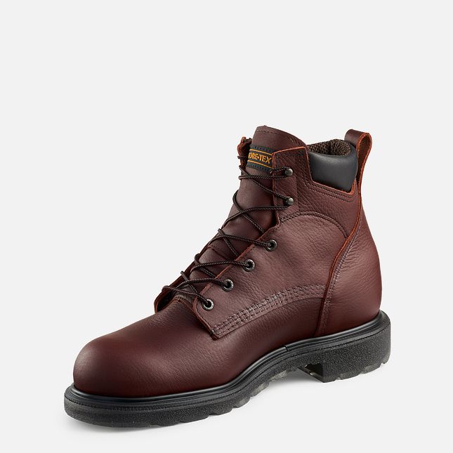 Red Wing Supersole® 2.0 6-inch Vandtætte Arbejdsstøvler Herre Brune | 1246-VUPMH