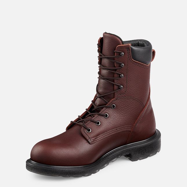 Red Wing Supersole® 2.0 8-inch Arbejdsstøvler Herre Brune | 3476-JLPHO