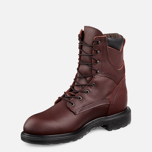 Red Wing Supersole® 2.0 8-inch Insulated, Vandtætte Arbejdsstøvler Herre Brune | 1365-HTMJR