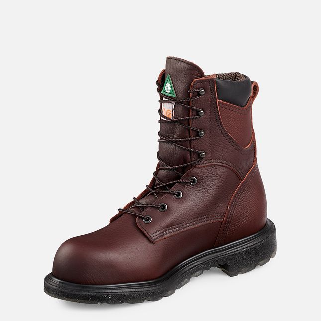 Red Wing Supersole® 2.0 8-inch Insulated CSA Vandtætte Sko Herre Brune | 3528-LVIFU