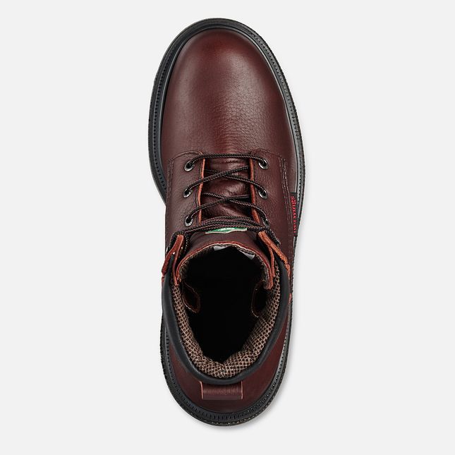 Red Wing Supersole® 2.0 8-inch Insulated CSA Vandtætte Sko Herre Brune | 3528-LVIFU