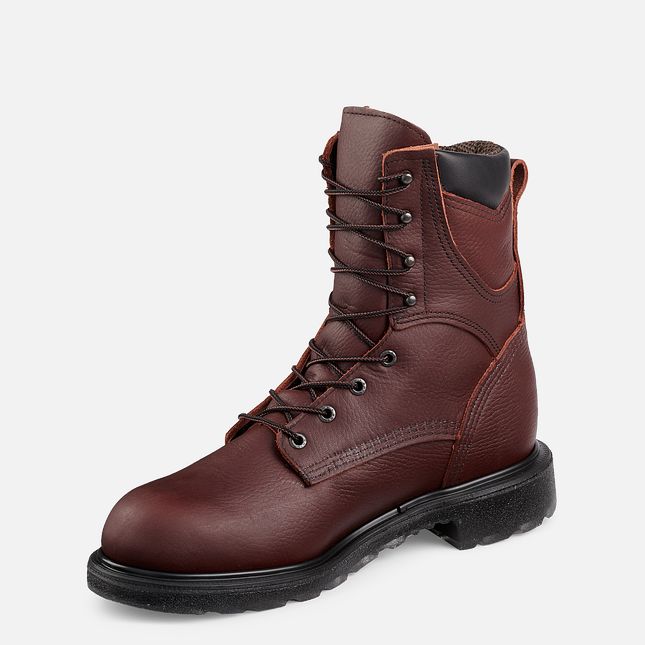 Red Wing Supersole® 2.0 8-inch Vandtætte Arbejdsstøvler Herre Brune | 0537-VBJZR