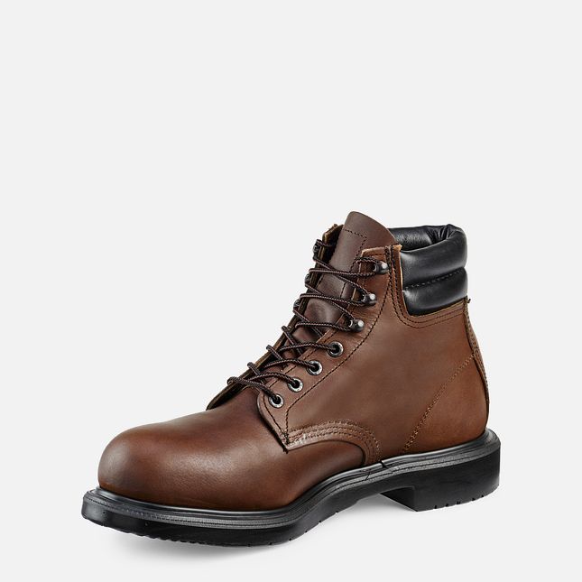 Red Wing Supersole® 6-inch Arbejdsstøvler Herre Brune | 9821-FYUNT