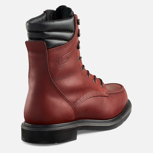 Red Wing Supersole® 8-inch Arbejdsstøvler Herre Brune | 1695-UHBKA