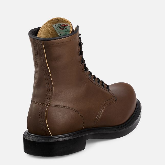 Red Wing Supersole® 8-inch Arbejdsstøvler Herre Brune | 2796-NZTSW