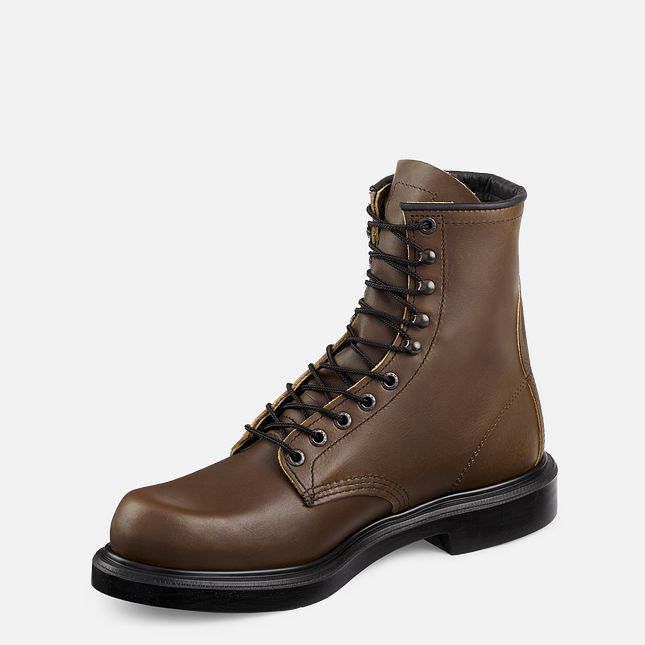 Red Wing Supersole® 8-inch Arbejdsstøvler Herre Brune | 2796-NZTSW