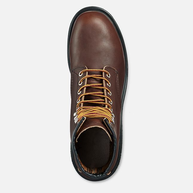 Red Wing Supersole® 8-inch Arbejdsstøvler Herre Brune | 7382-QMJLZ