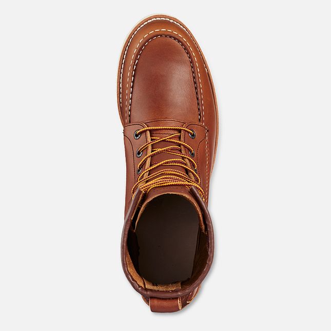 Red Wing Traction Tred 8-inch Arbejdsstøvler Herre Brune | 5086-FXERO