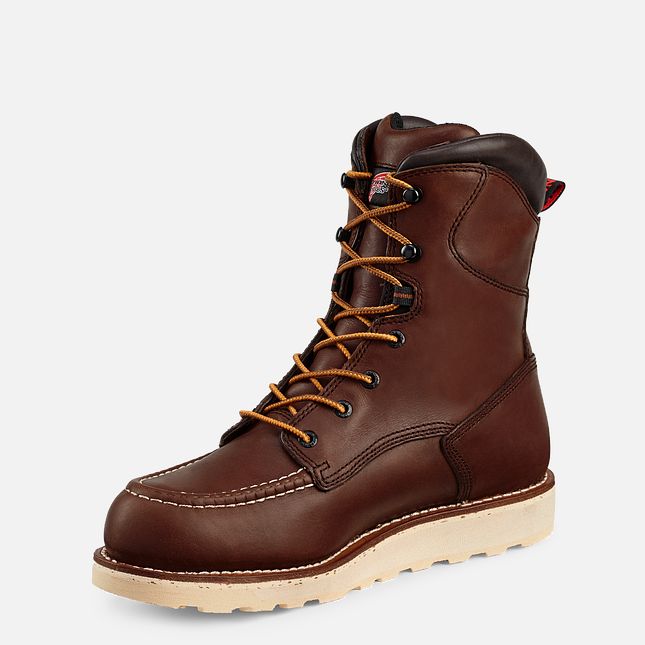 Red Wing Traction Tred 8-inch Vandtætte Arbejdsstøvler Herre Brune | 7603-RGMEU