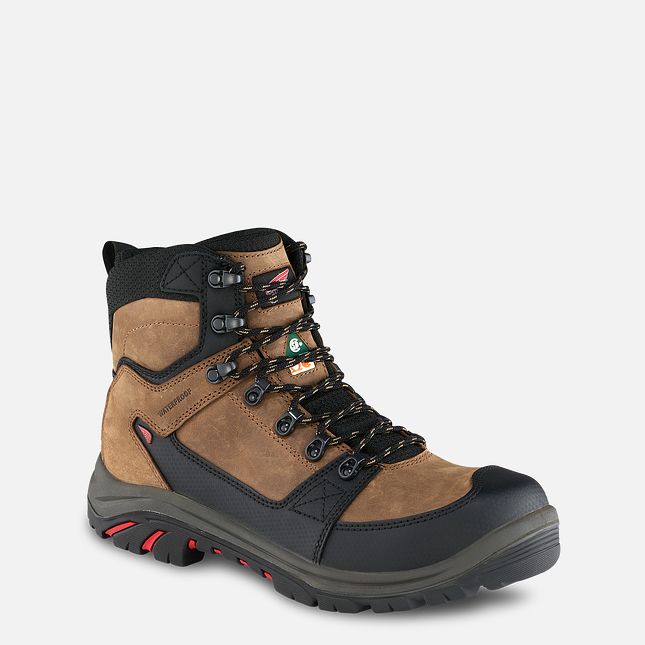 Red Wing Tradesman 6-inch CSA Vandtætte Sko Herre Brune | 0531-HKJNU